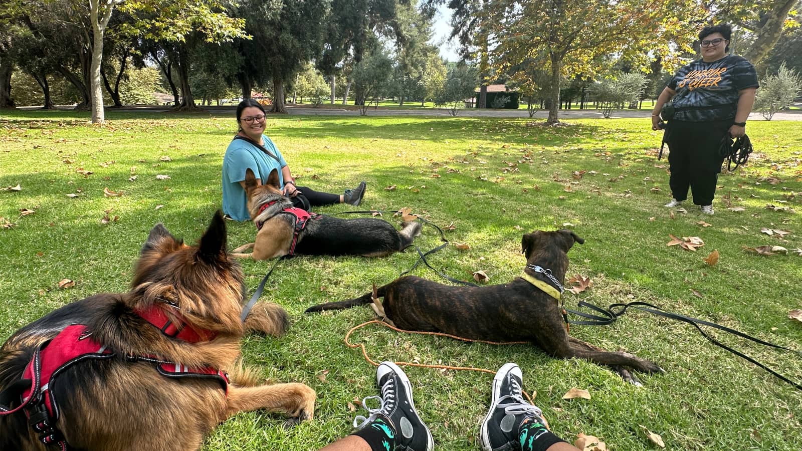 UPDATED EARLIER TIME** 9am START TIME! Birthday Sylmar Park Pack Walk