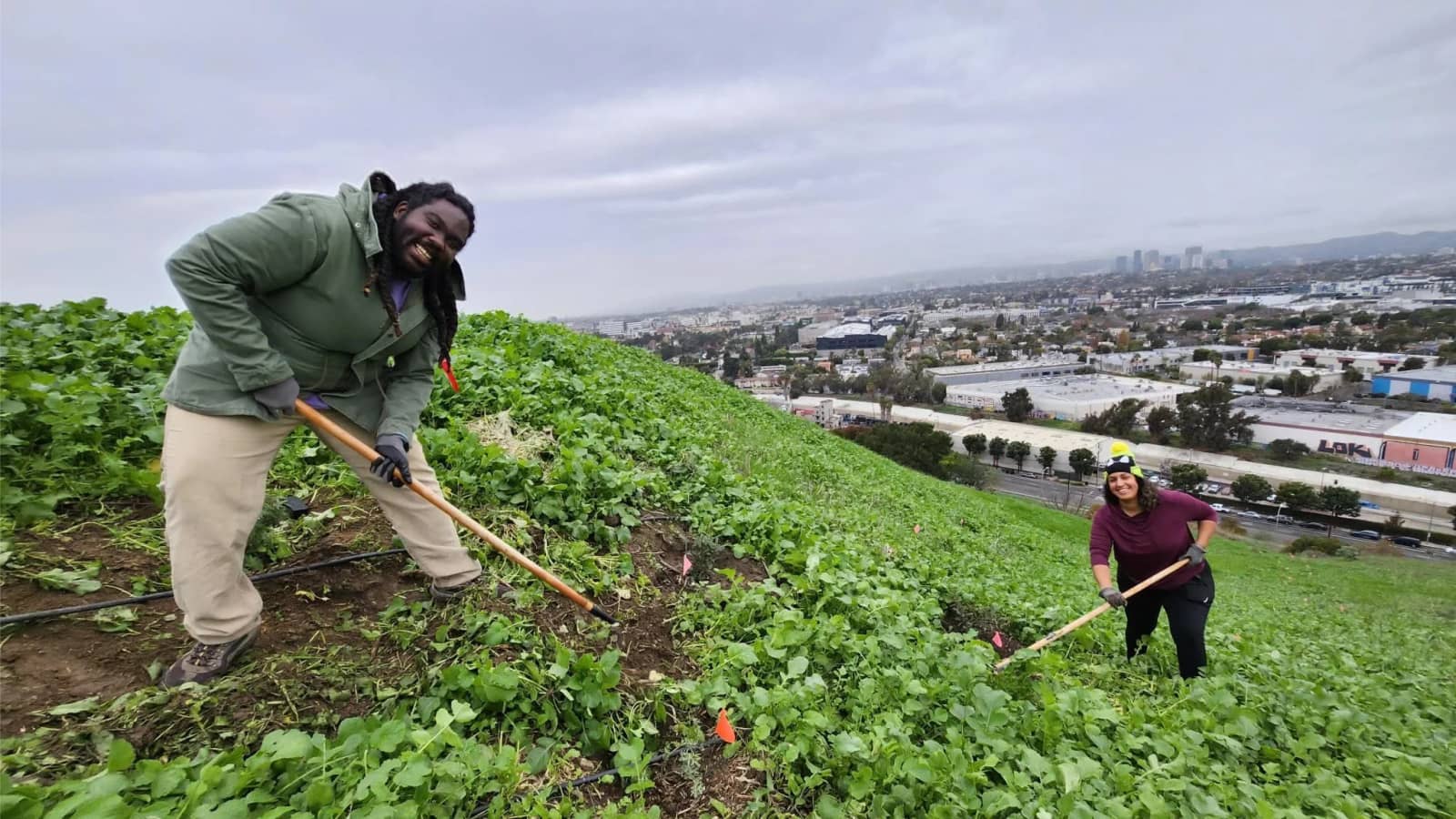 Community Habitat Restoration event at Baldwin Hills Scenic Overlook