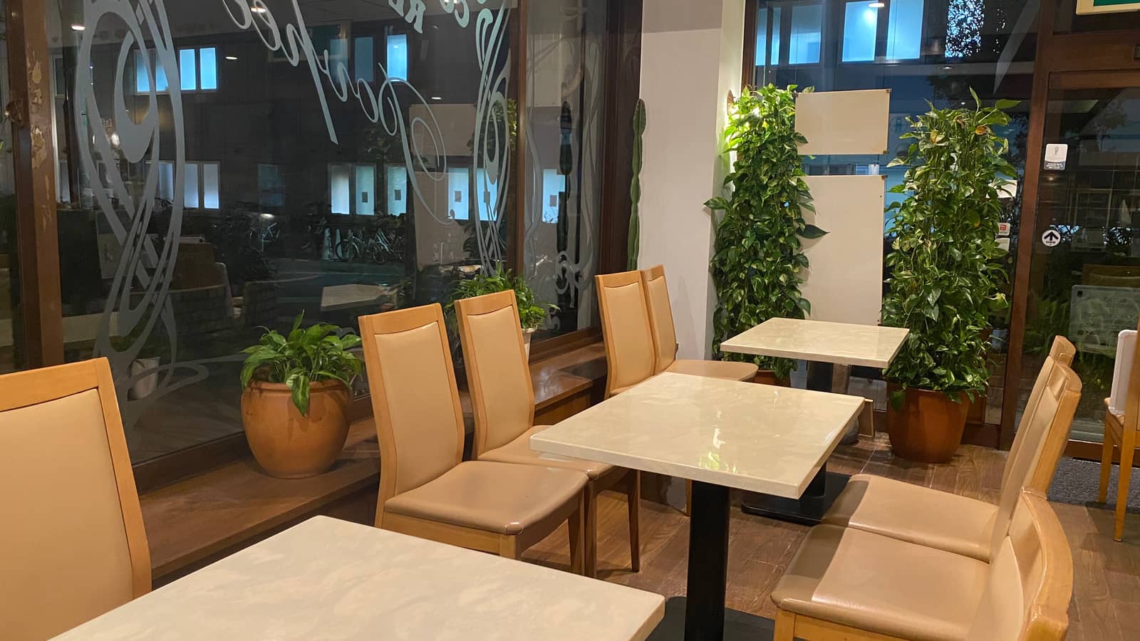 🌱 English & Japanese Chat Freely + IT casual talk OK! 🌱