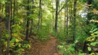 Wilket Creek, Serena Grundy, Sunnybrook, Edwards Garden AND Stretching!