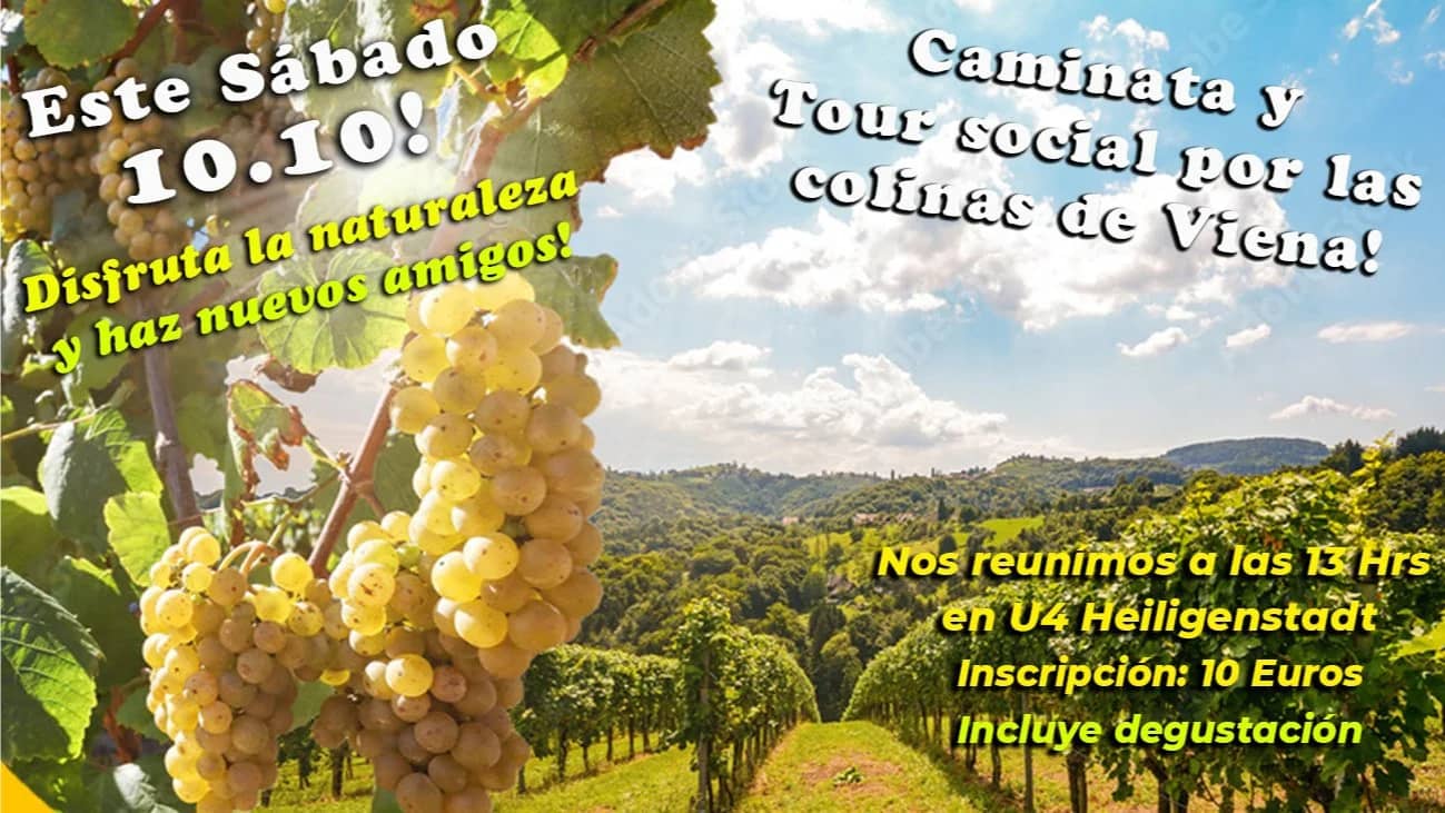 Este sábado nos vamos al Kahlenberg!