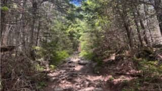 Scenic Hike Along the Wissahickon