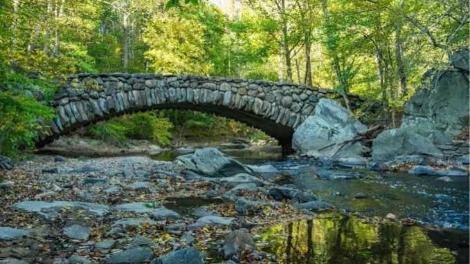 Birdwatching in Rock Creek Park, beginners welcome!