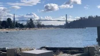 Bike Ride - Burnaby Lake / Ambleside  - 54293991