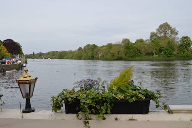 Syon Lane to Strawberry Hill Picturesque Summer Riverside Walk
