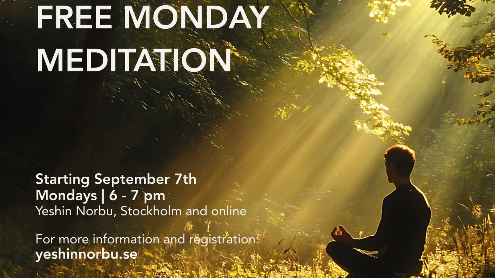Monday Free Drop-in Meditation