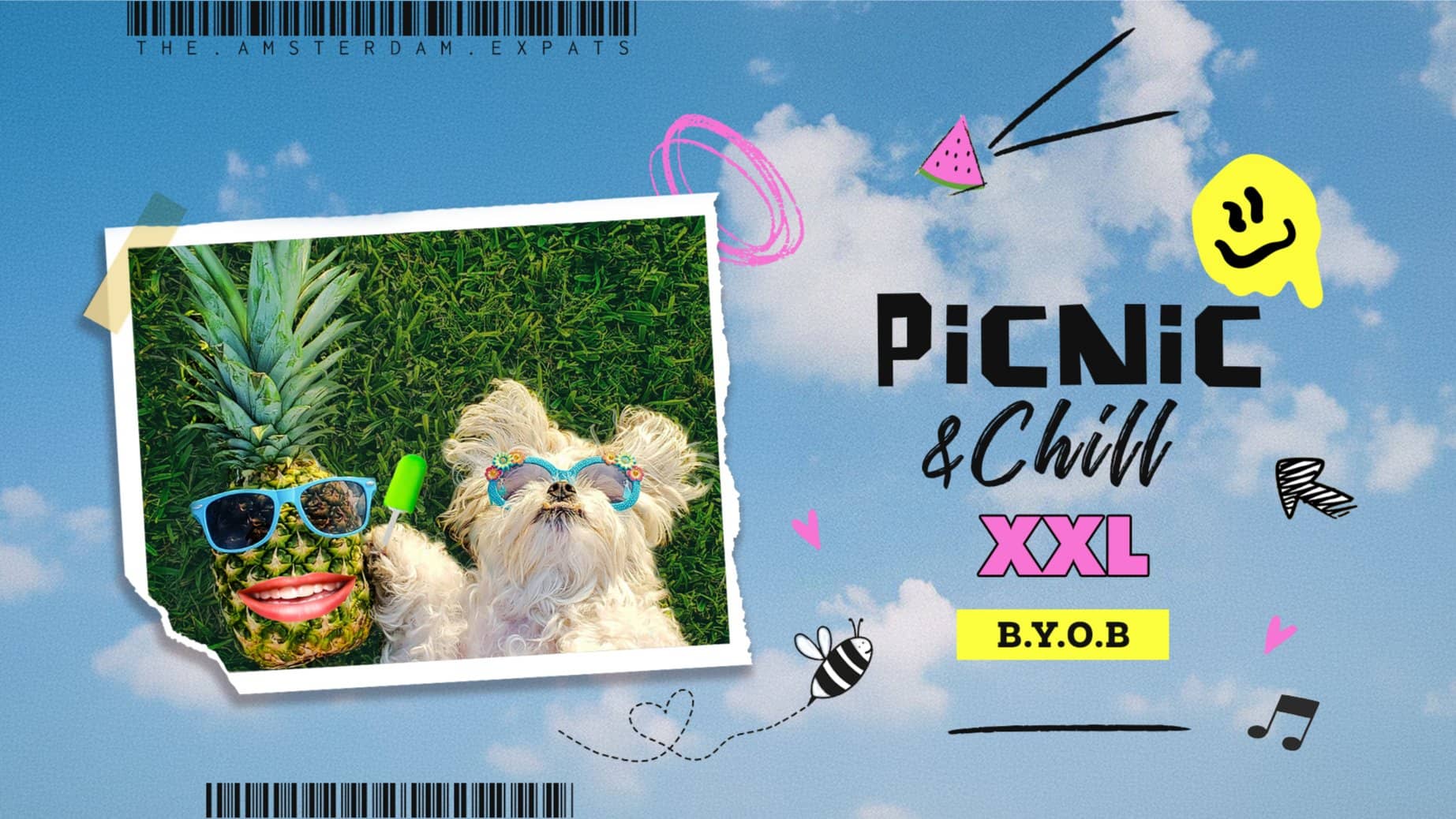 ☀️ Picnic & Chill XXL ☀️ @ Noorderpark (Communities Gathering)