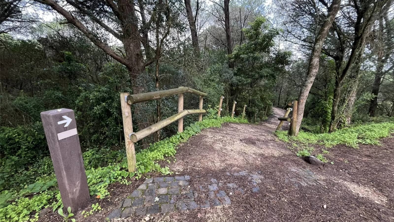 Morning walk #66: Six Quarries Trail