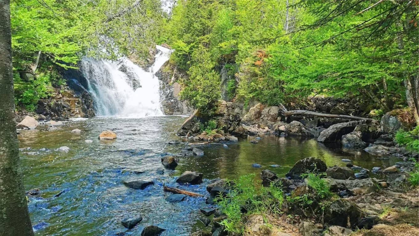 OUR 6TH EVENT: Hike, Potluck & Swim by the Archambault Waterfalls! 🥗🏞️⛰️