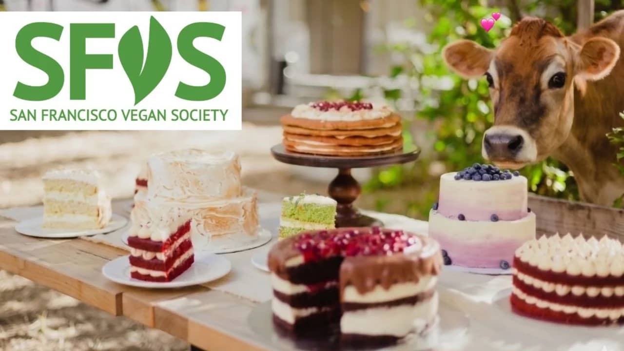 Cake Swap Extra-VEGAN-za!