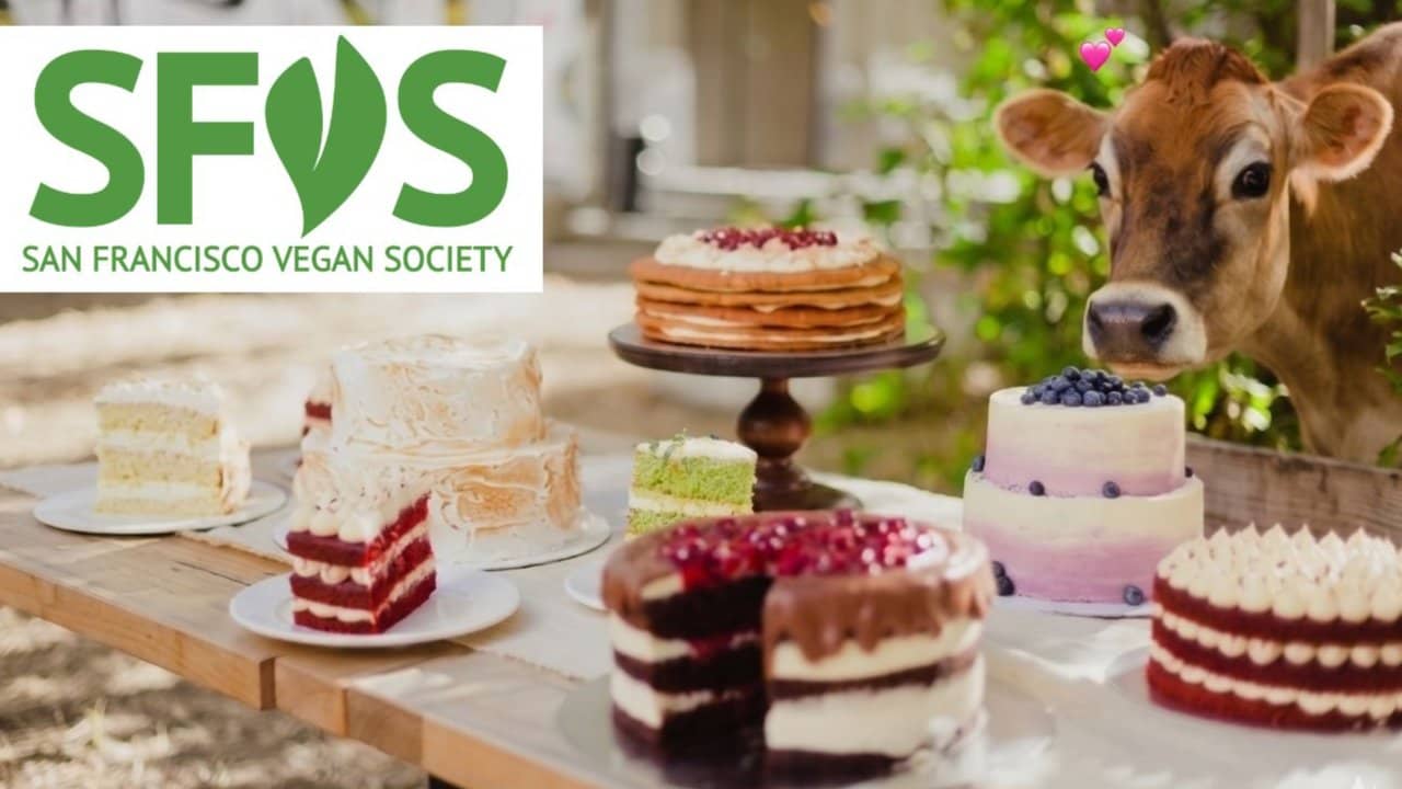 Cake Swap Extra-VEGAN-za!
