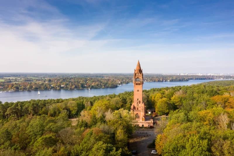 Caminata y juegos en Grunewald