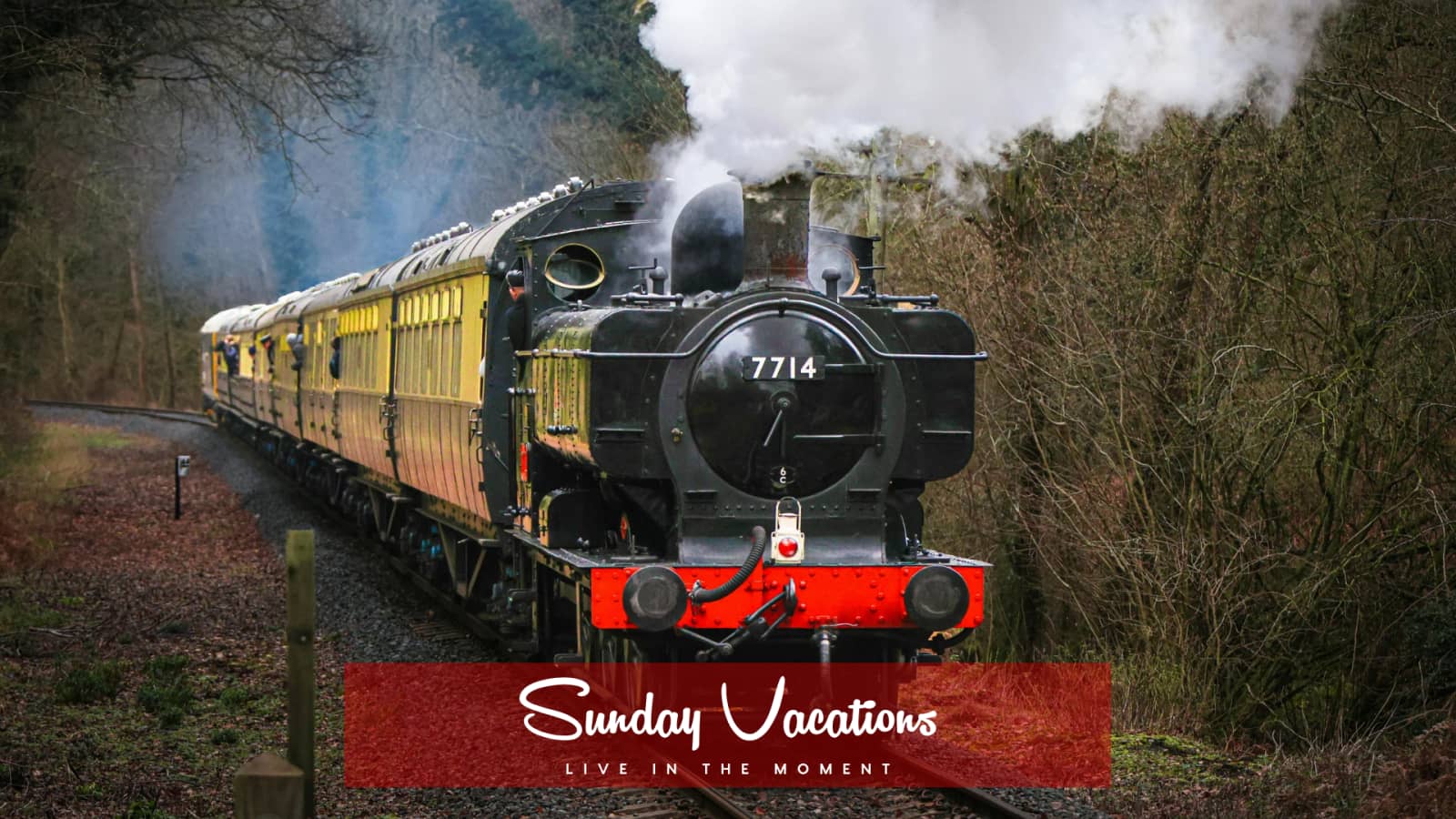 🚂 Steam Train Adventure in Wallonia | Mariembourg → Treignes Festival