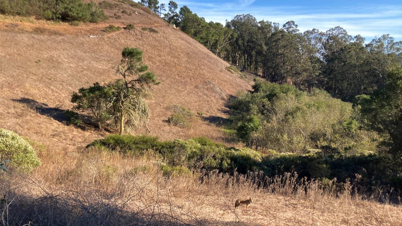 A Friday In The Canyon