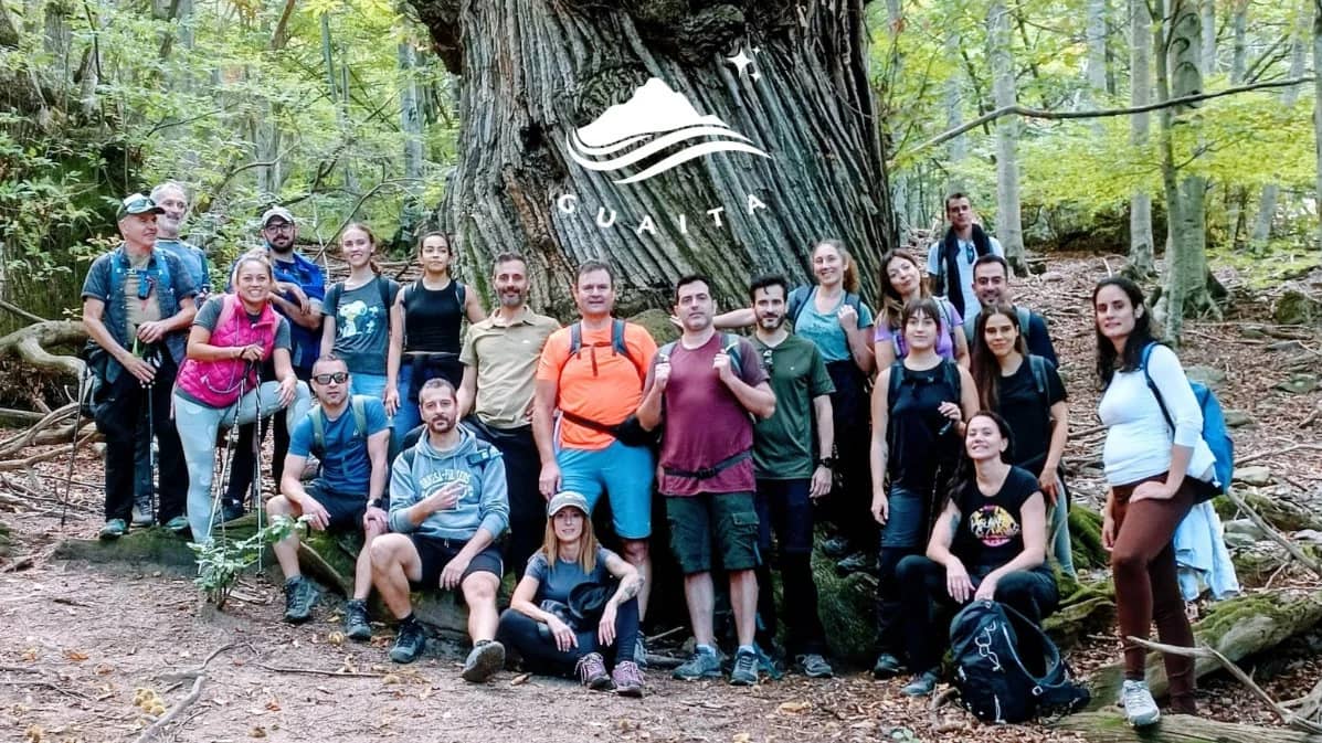 🌳 Viladrau ★ 𝐌𝐨𝐧𝐭𝐬𝐞𝐧𝐲 🥾Castaños Monumentales ⭑ Hayedos 🌳
