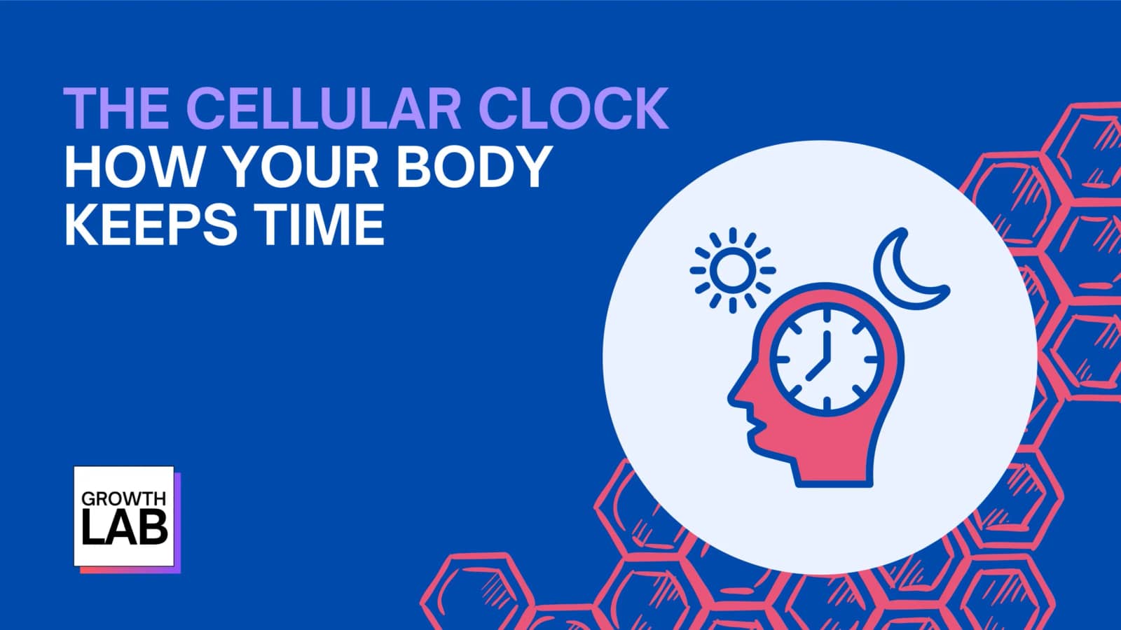 The Cellular Clock: How Your Body Keeps Time (tickets on LUMA)