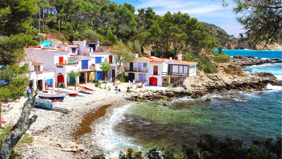 🌊📸 Senderismo, Fotografía y Pintura calas turquesa Palamós a Cala Estreta