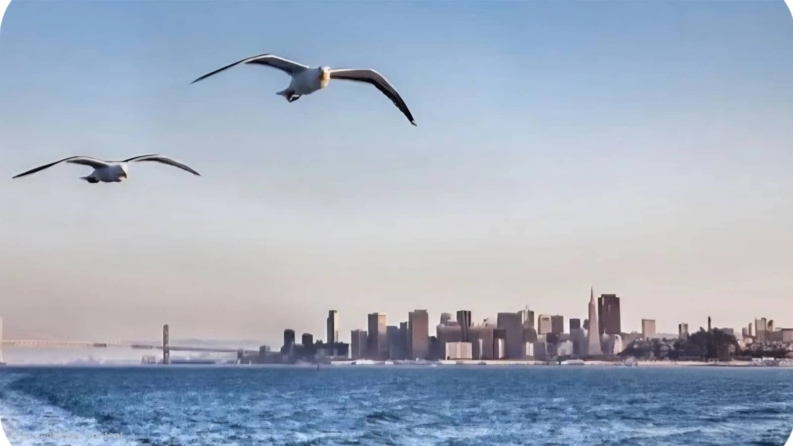 ⛴️  Vallejo Day Trip -- Via Ferry
