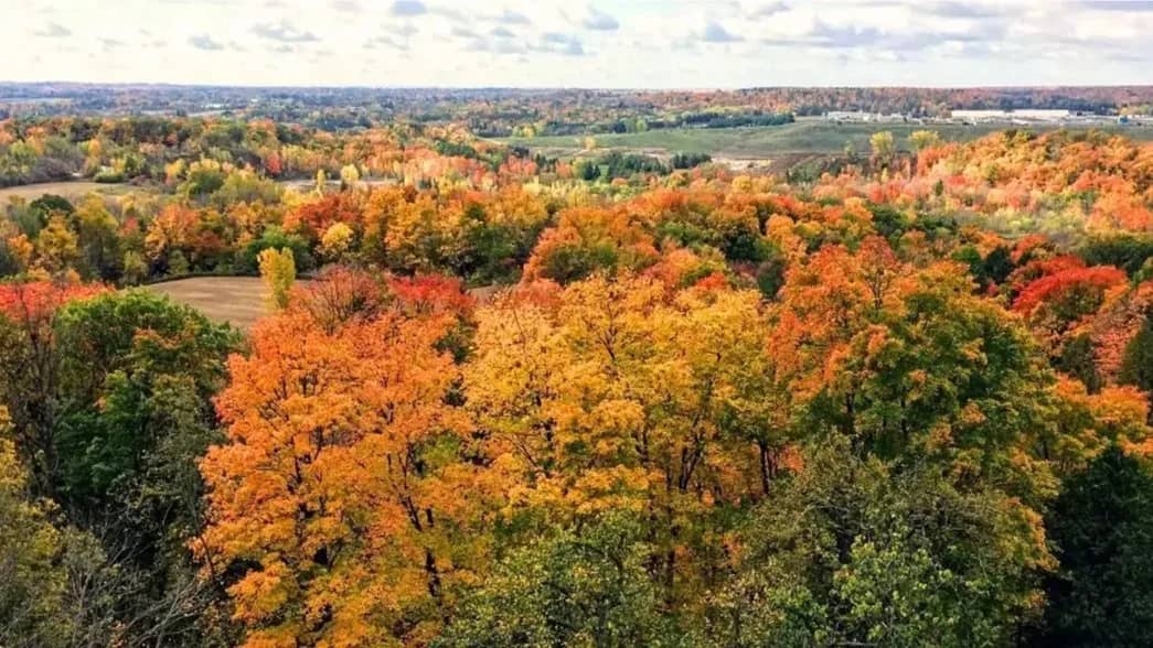 Autumn Awe at Crawford Lake