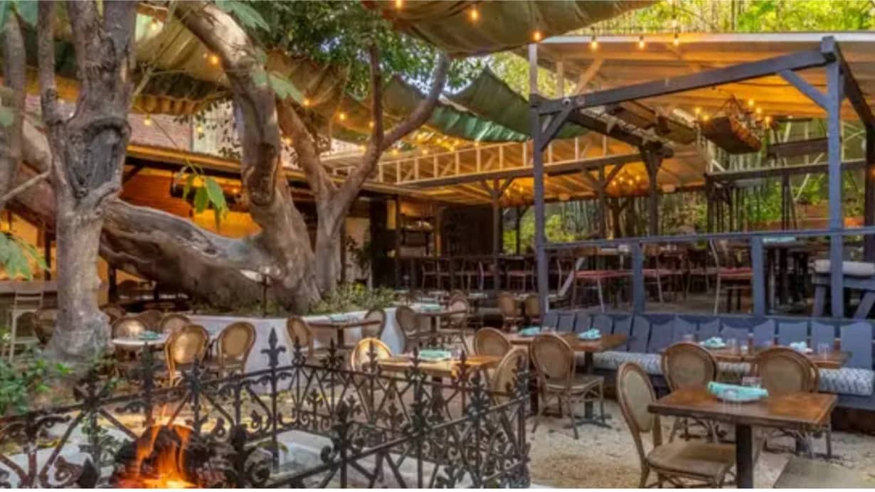 Brunch at Bacari Silverlake Sunday Sept. 20th @ 11:00AM