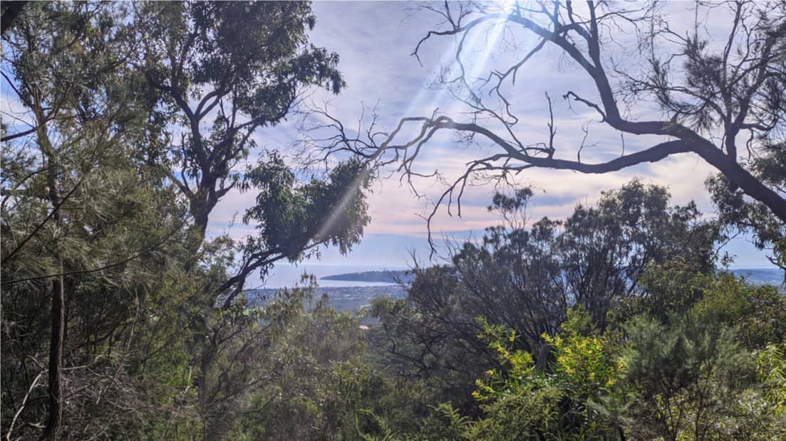 Sunday Bus: Red Hill Winery Walk - 13km and 17km - 9 Aug