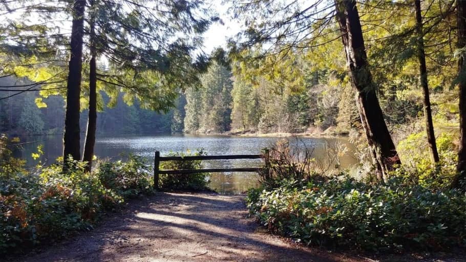 Mundy Park, Riverview Forest Route — Coquitlam