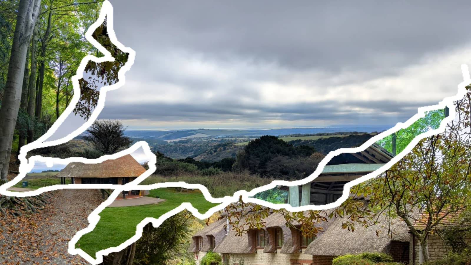 🔴🚶🏻 Hike: Petersfield II via Killer Hill & Queen Elizabeth Country Park [Ext]