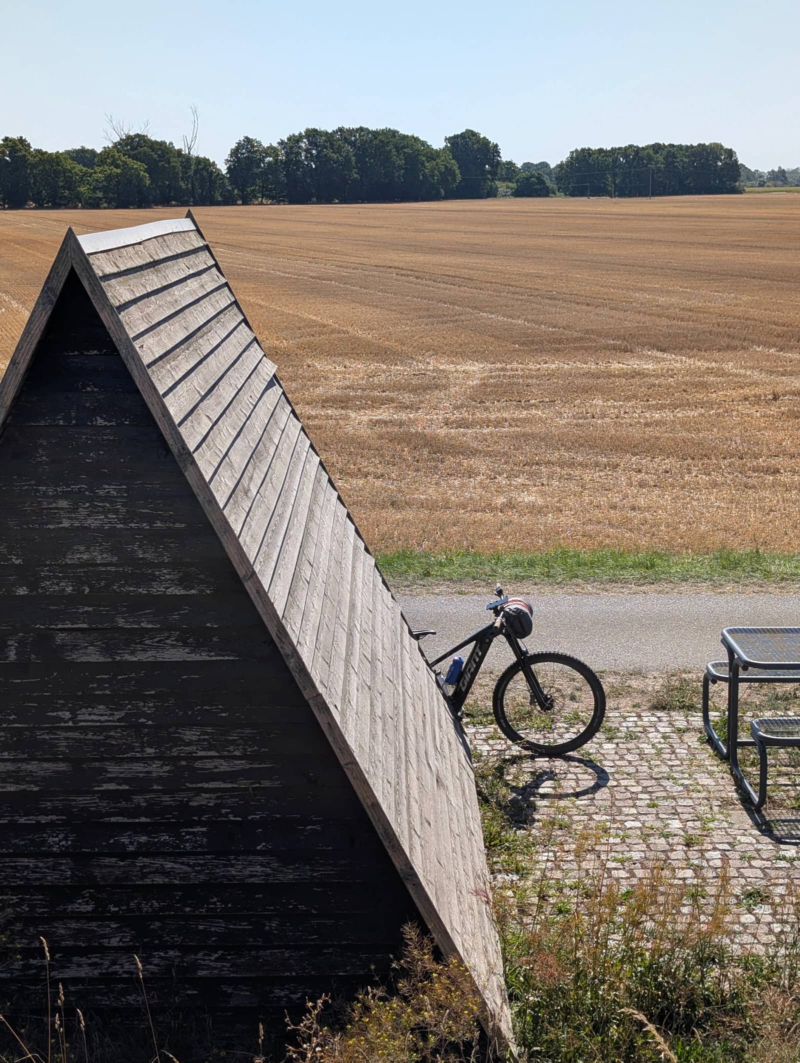 🚲Berlin Relaxed Cycling- Wannsee Ferry Ride + Museum + Coffee
