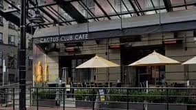 Cactus Club Yaletown Dinner