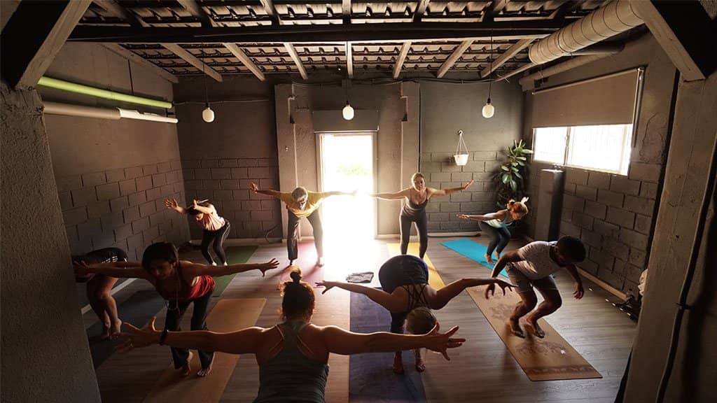 YOGA COM ALMA | Integral Yoga 'FLOW' with Adriana Keller