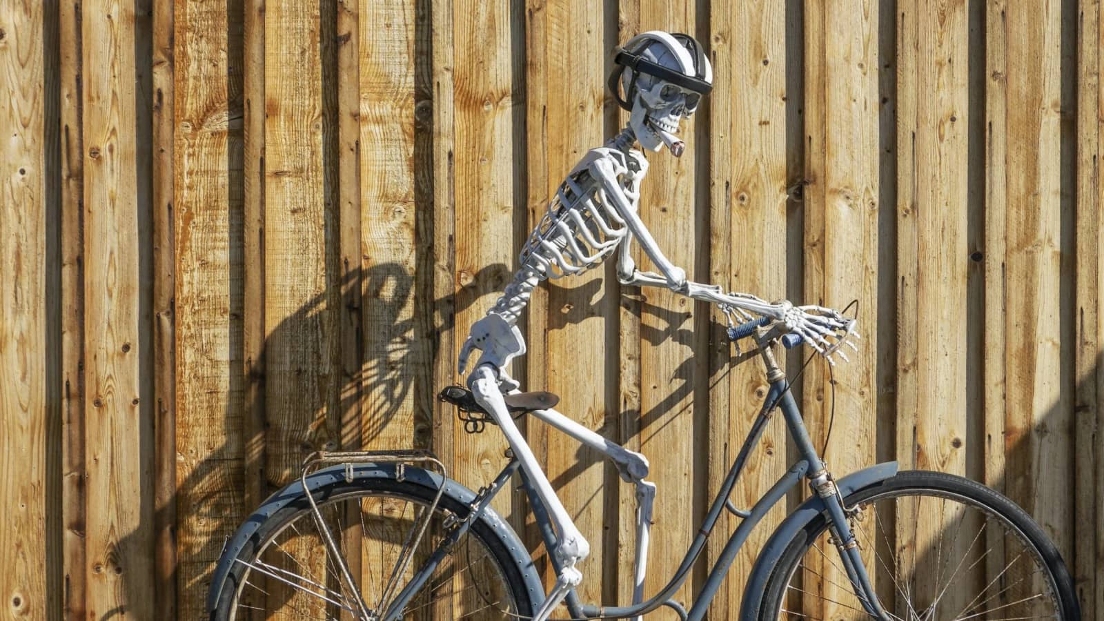 Halloween Mountain Biking - Wissahickon