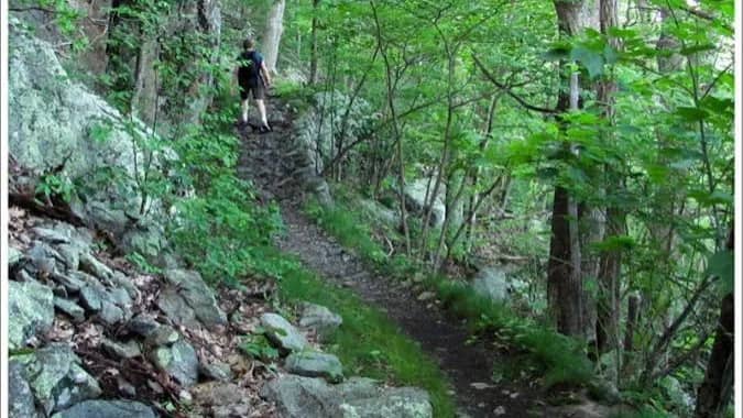 Hike: Appalachian Trail, “Roller Coaster”, SNP, VA