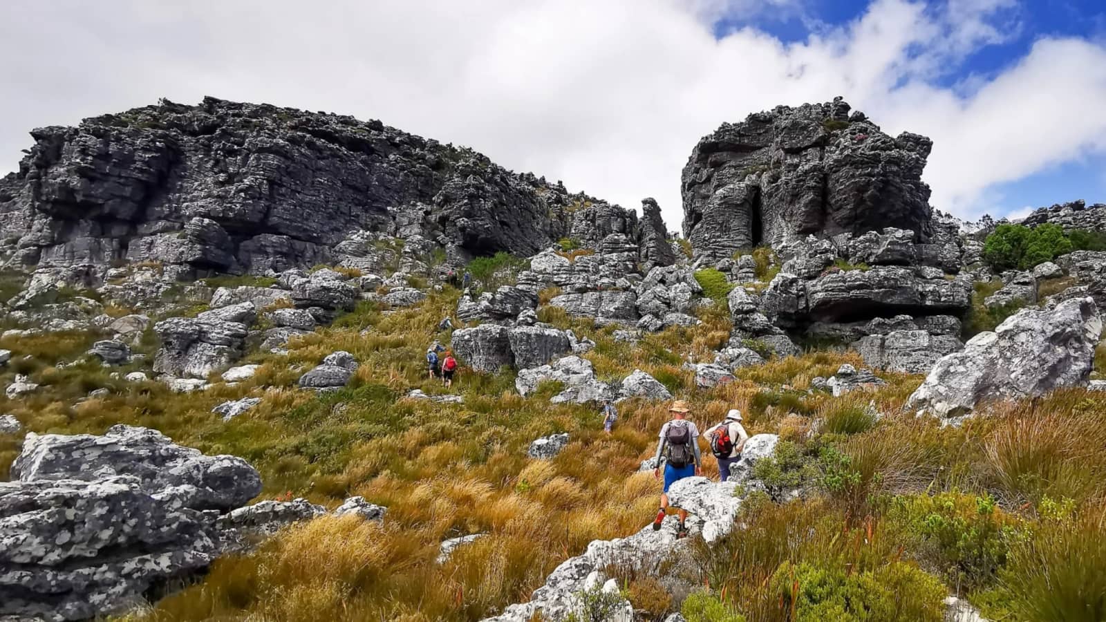 Oudekraal Ravine to Grootkop and Yellowwood Traverse, Table Mountain