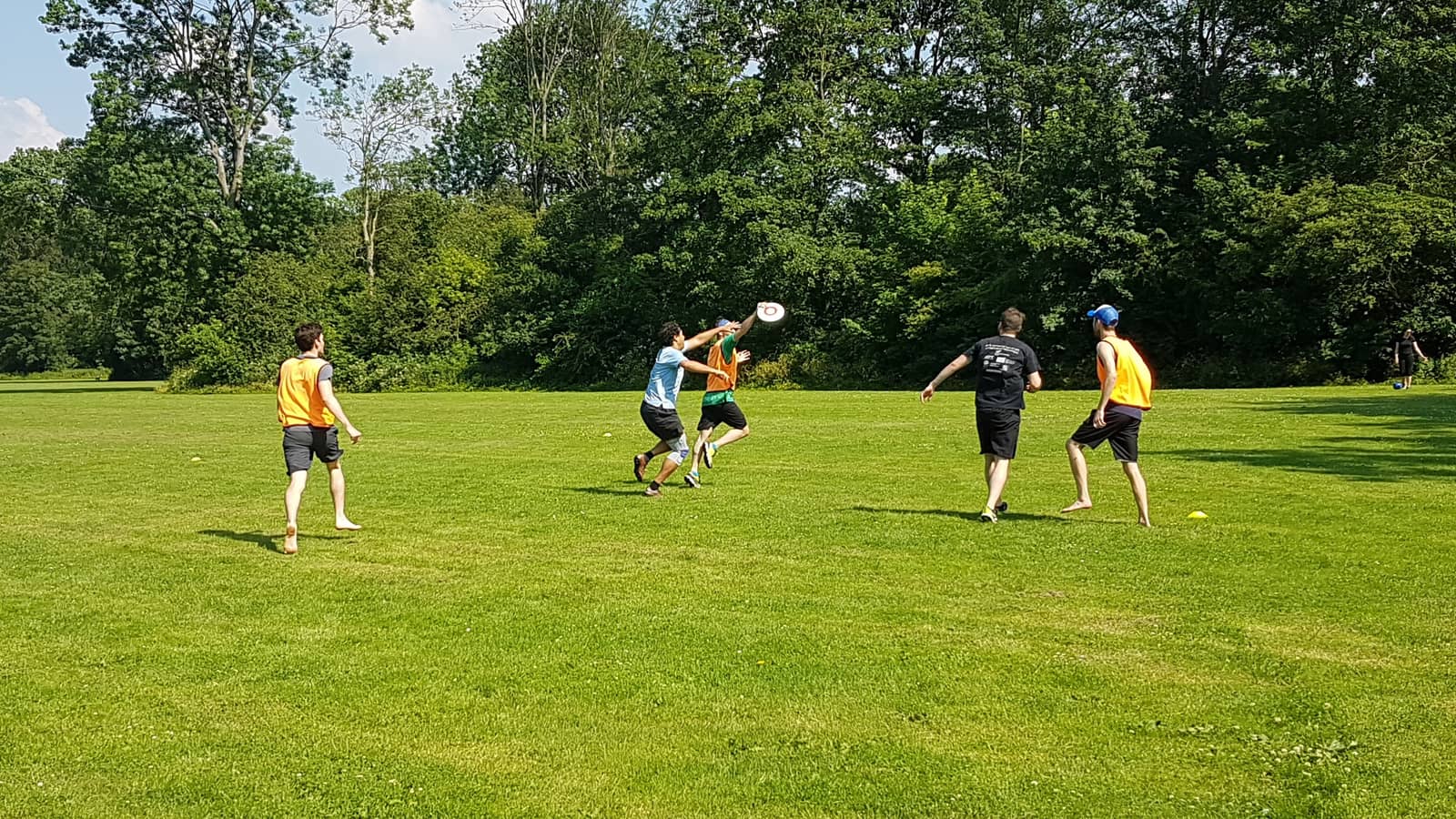 Sunday Ultimate Frisbee Pick-Up