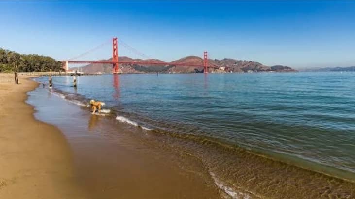 October Conscious Women's Walk: Crissy Field
