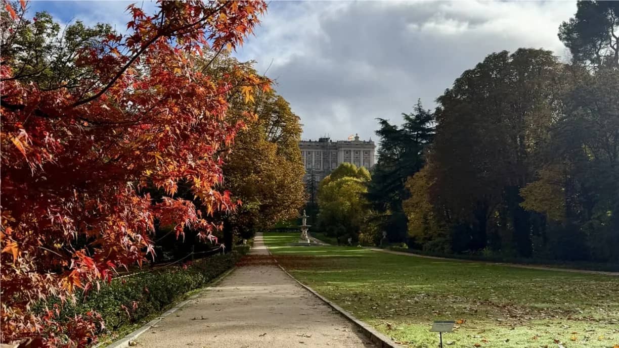 Visita Guiada Jardines El Campo del Moro y Túnel de Bonaparte😀🙋‍♂️