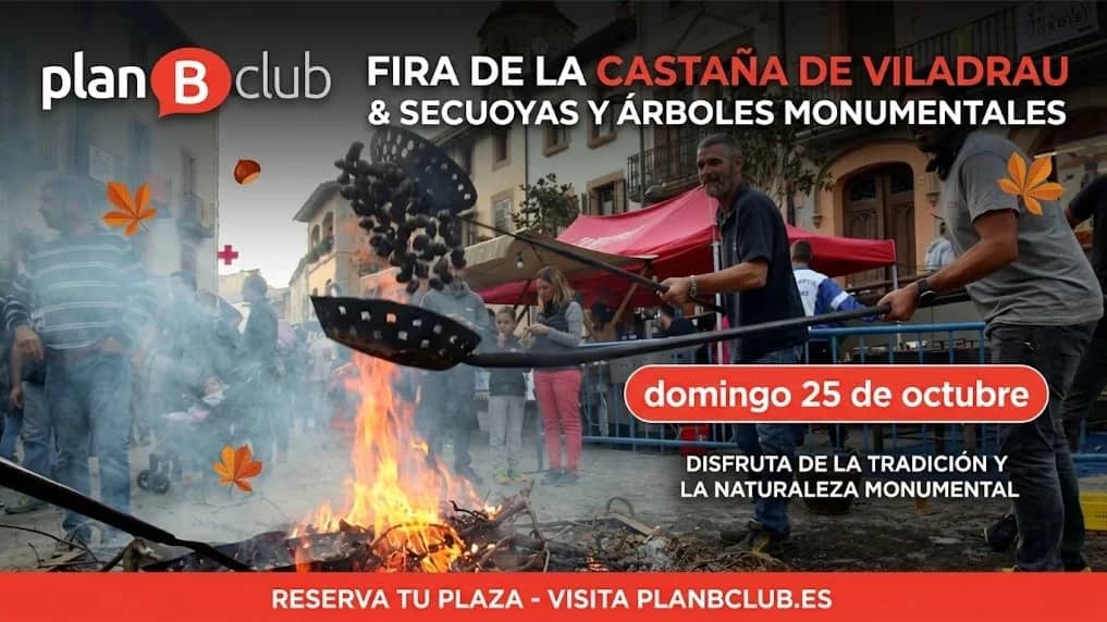 Fira de la Castaña de Viladrau, Secuoyas y árboles monumentales