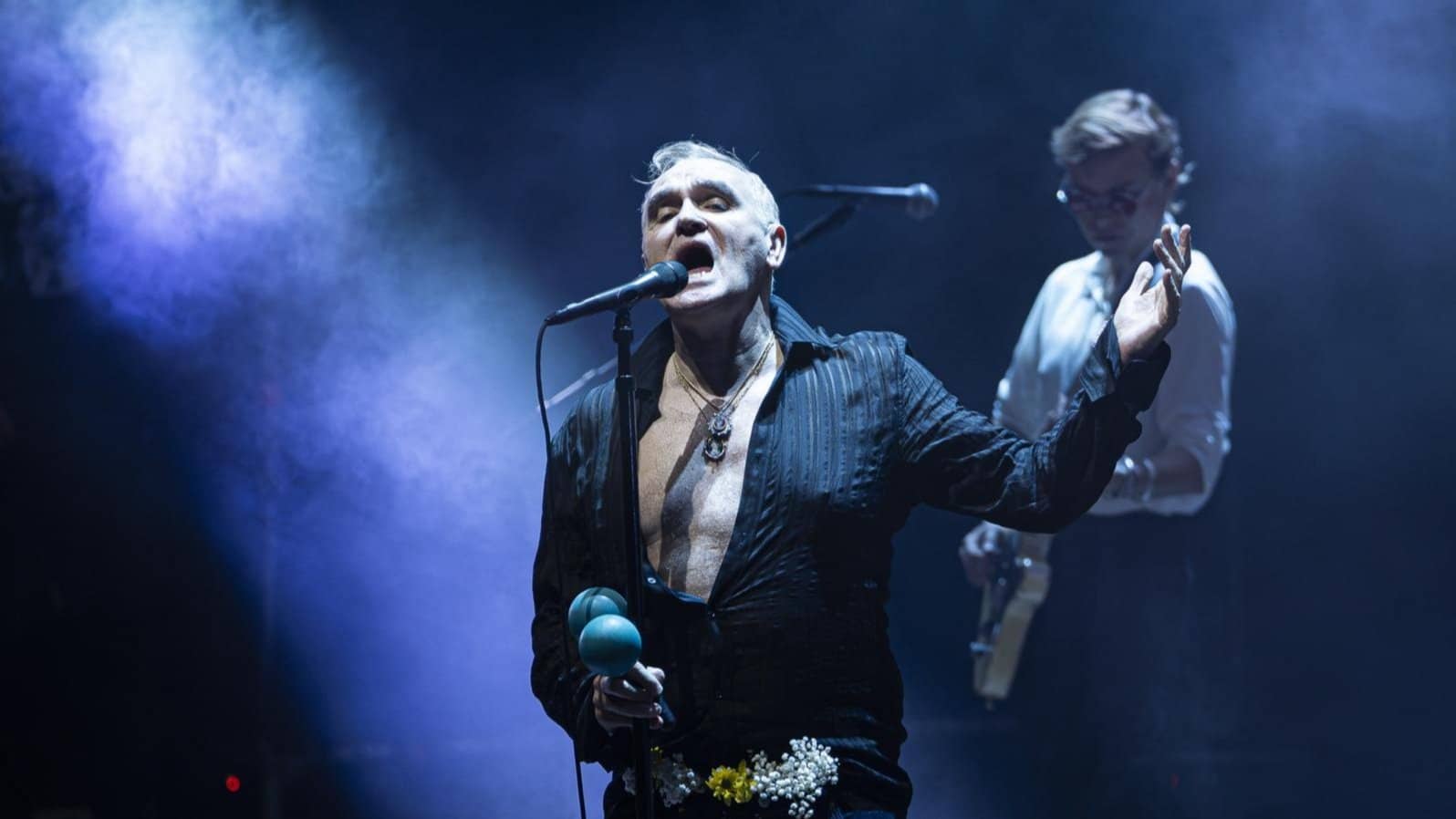 Tardeo Morrissey Madrid