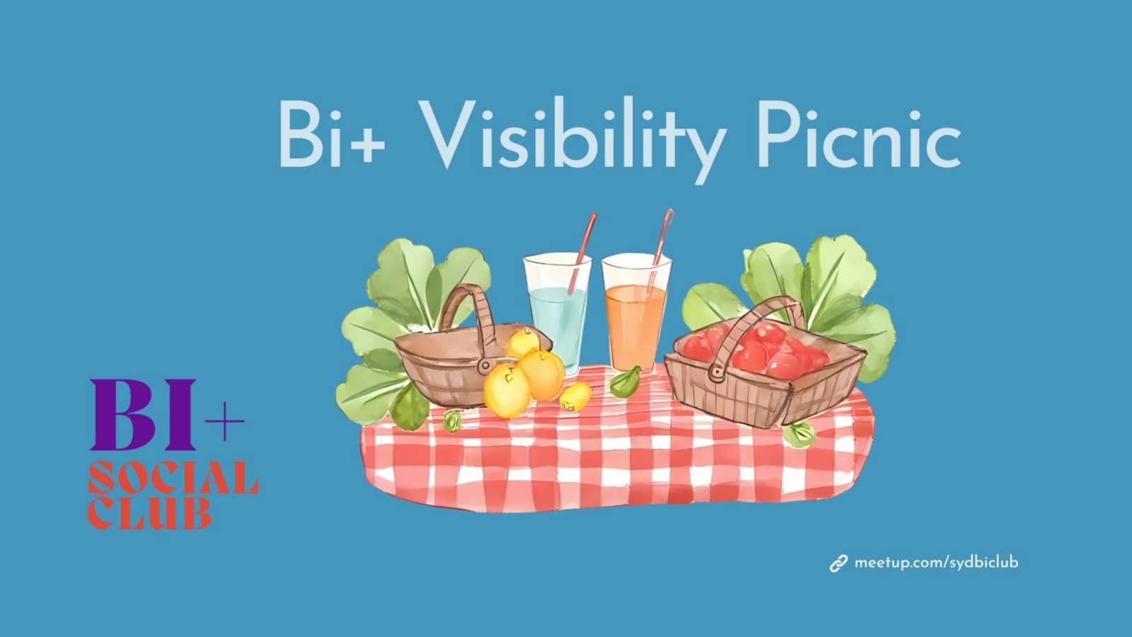 Bi+ Visibility Picnic