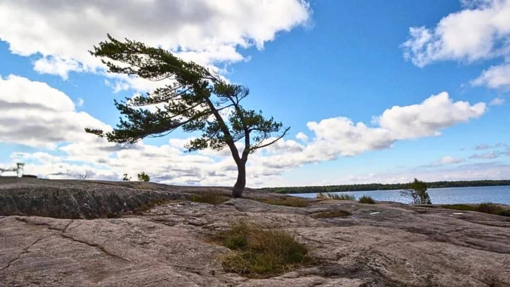 Group Camping at Killbear