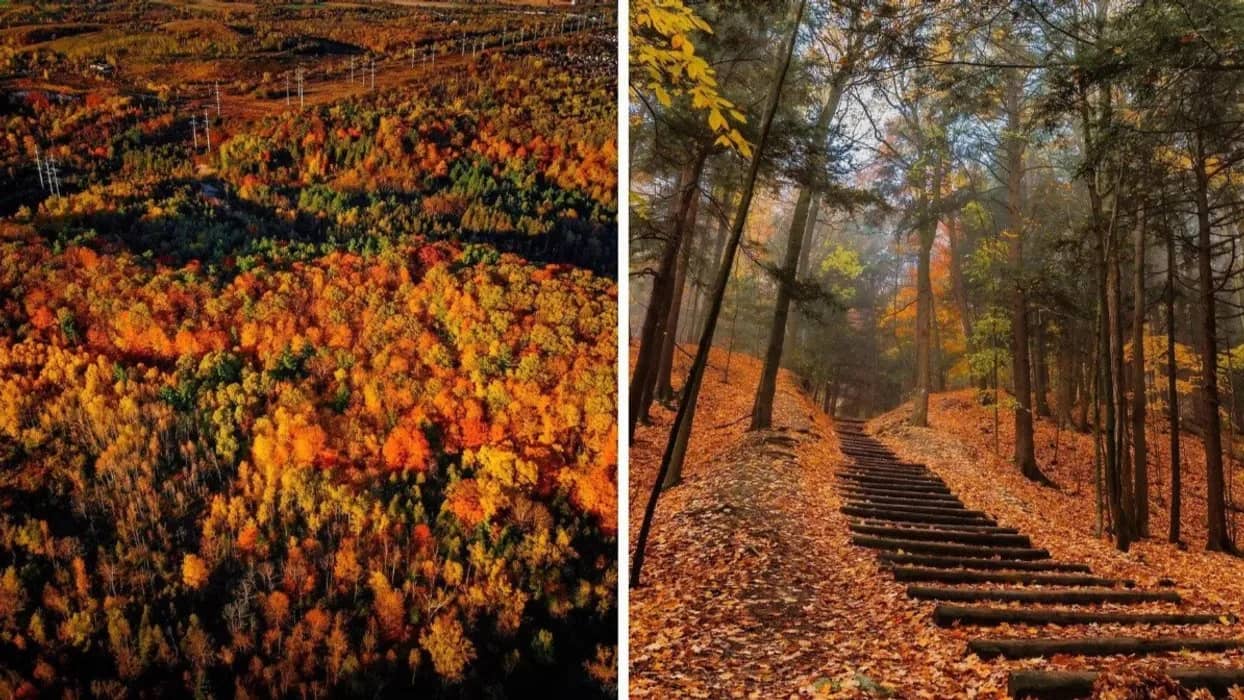 The Beautiful Rouge National Urban Park