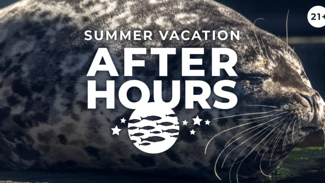 Seattle Aquarium After Hours