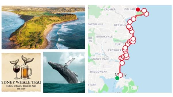 12kms Manly Beach to Long Reef to "New" Brookvale Microbrew!!!