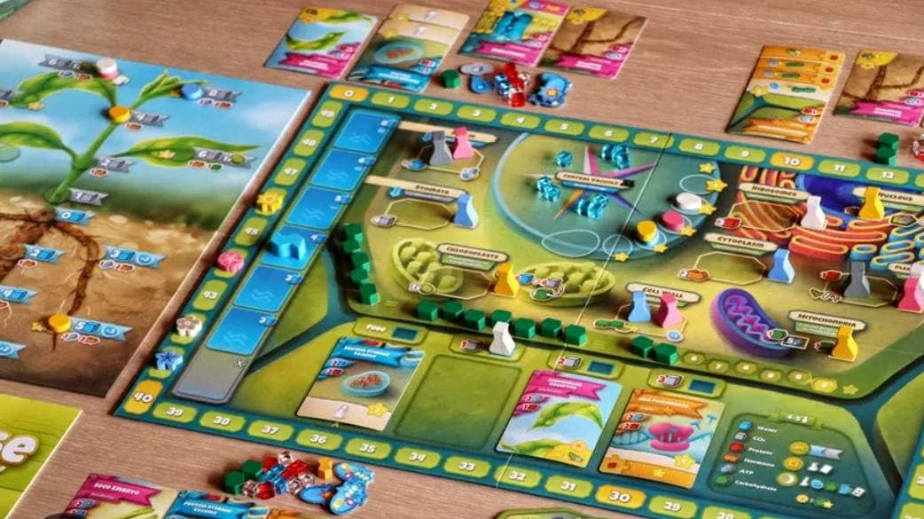 Board Game Night - Zehlendorf