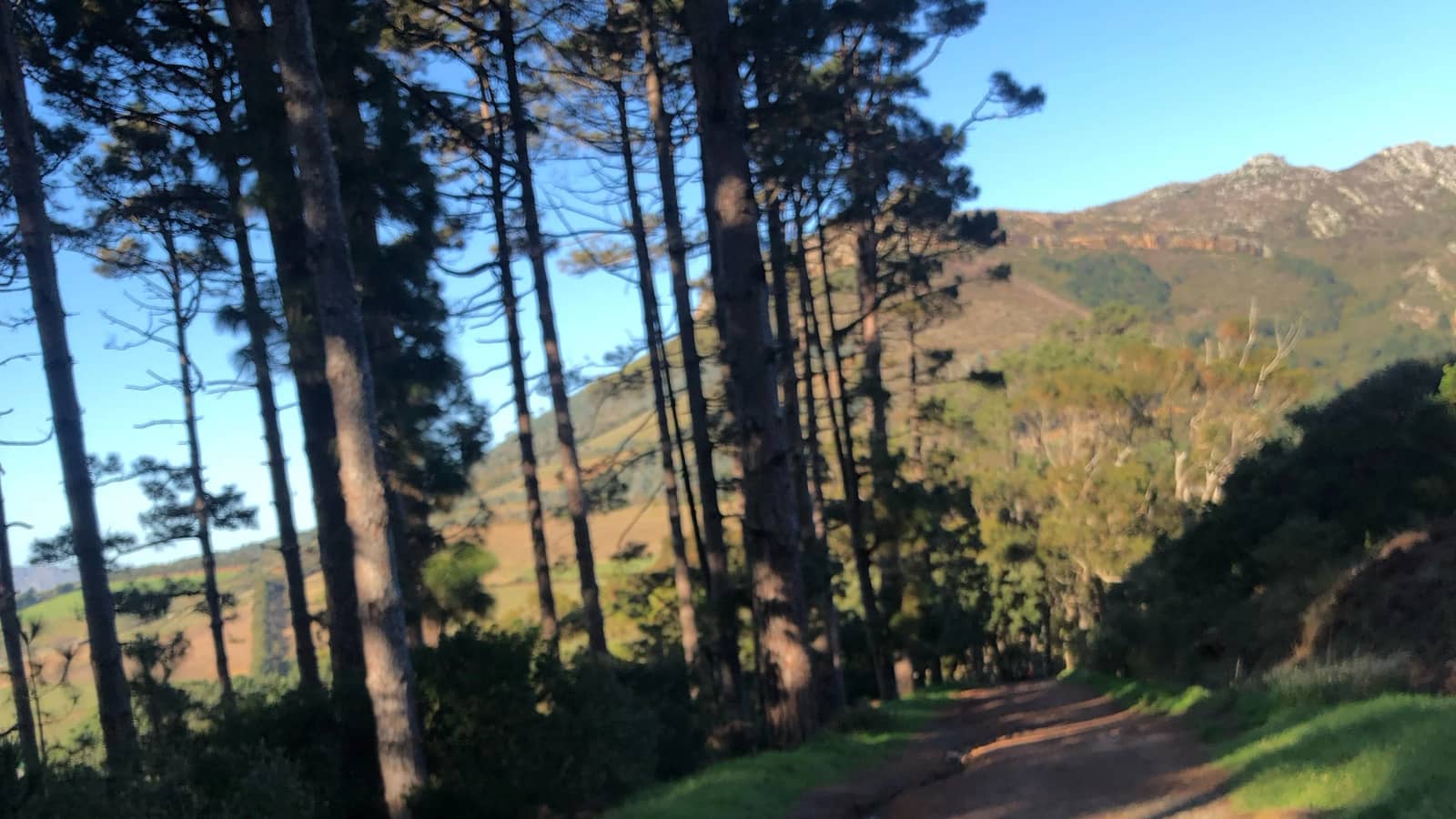 Constantia Nek