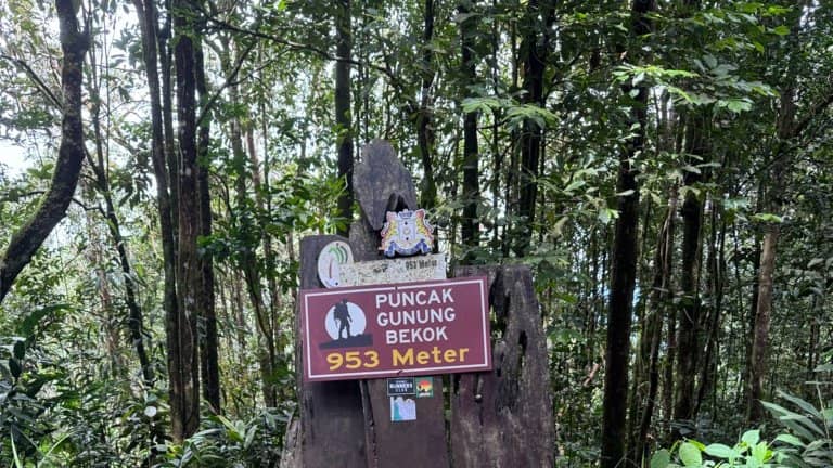 [Hiking Series] M'sia-Gunung Bekok (953m): Forest + 4 Rivers Training Hike!