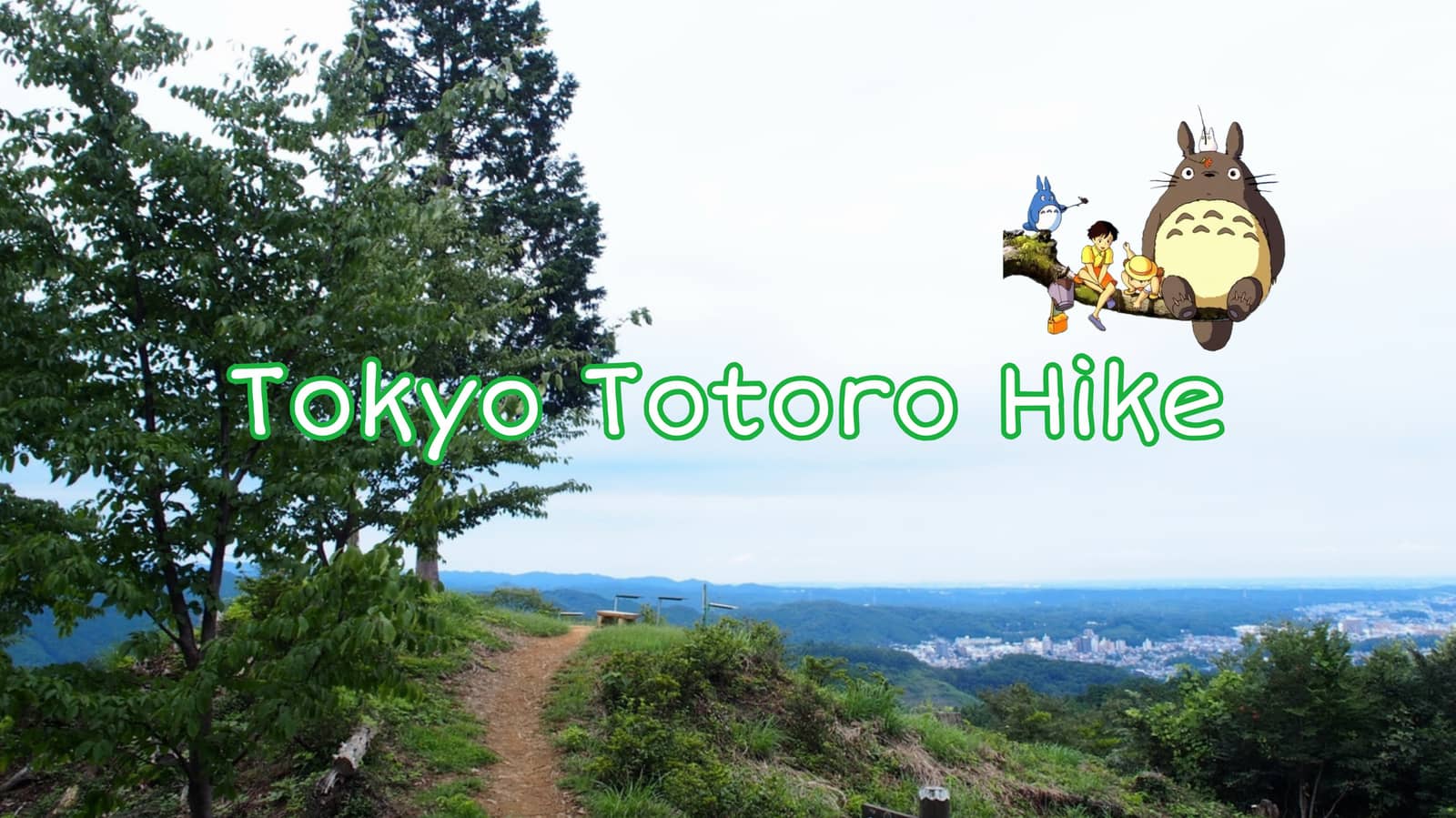 🌳🌸Tokyo Totoro Hike: Meet New Friends🤝🏞️