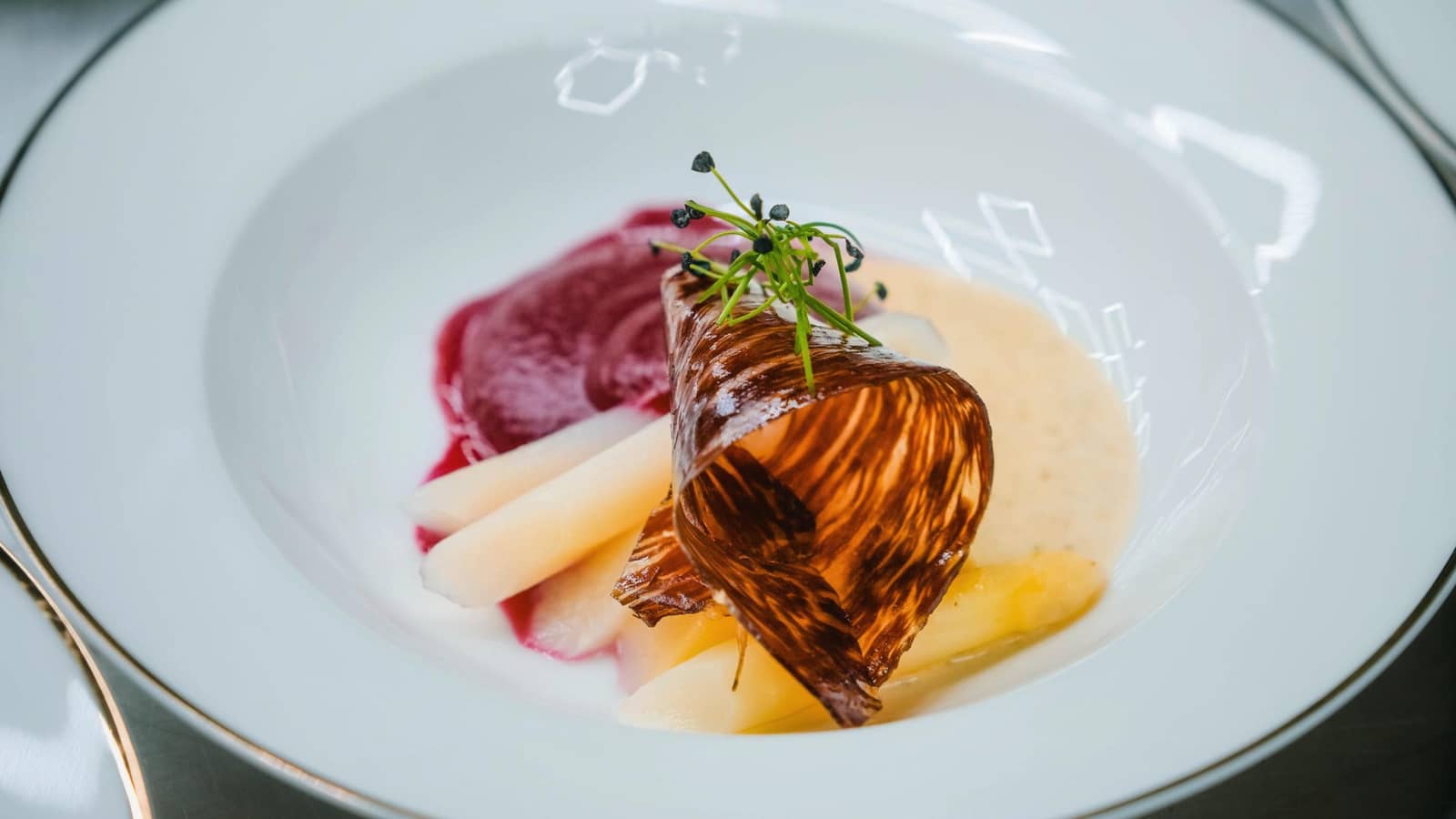 Gastronomy Dinner for Everyone!