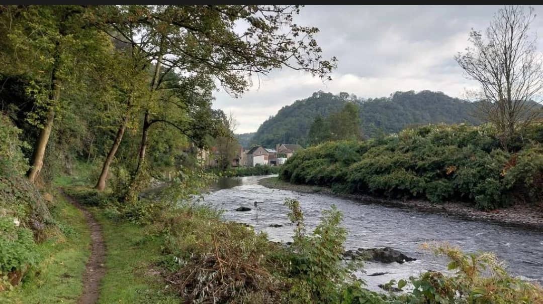 Hiking in the Ardennes (Loop around Trooz)