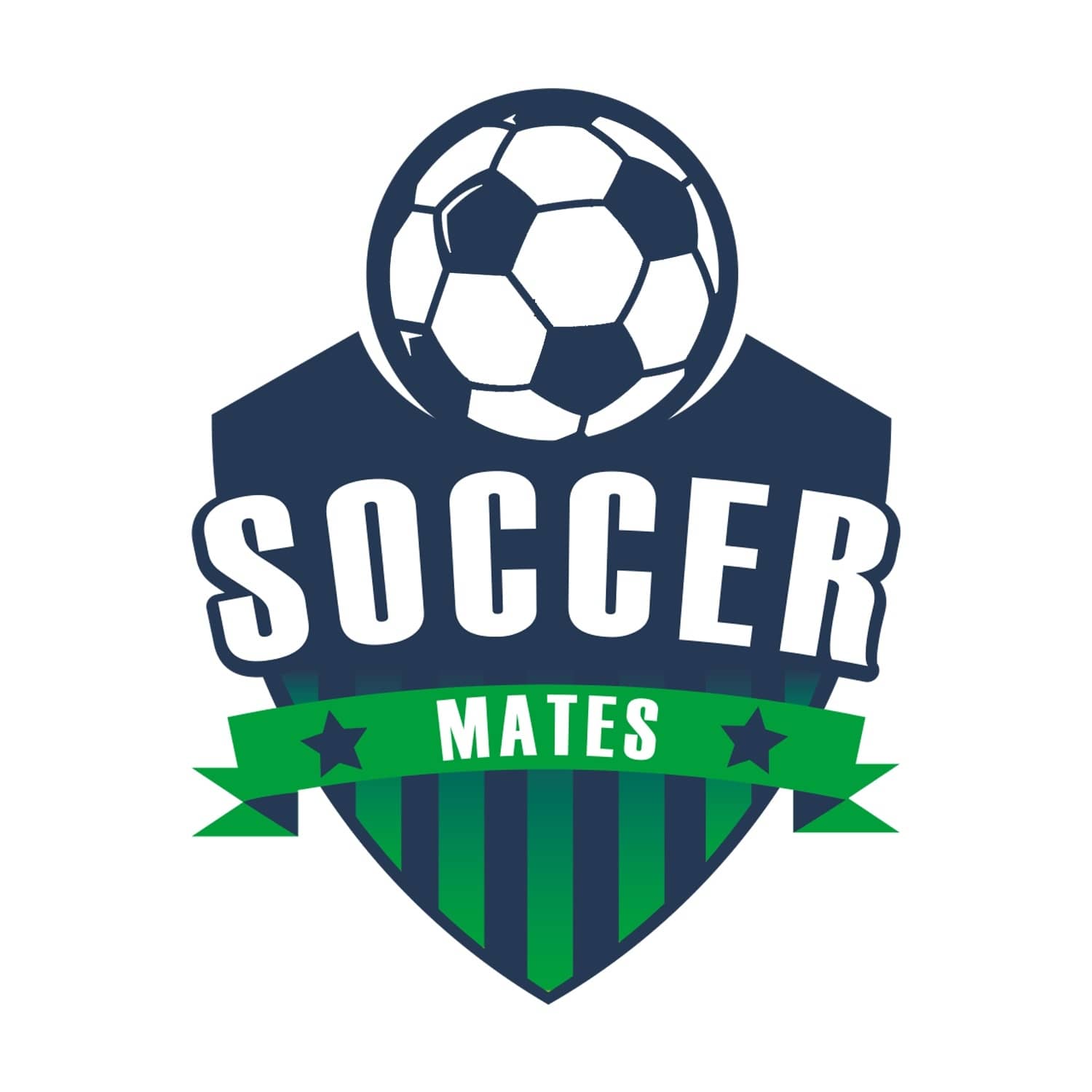 1:00pm  Cadman Plaza 9v9 - Large goals, turf field.